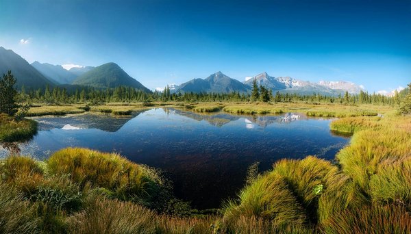 Média sur aix-en-provence : votre guide pour tout savoir