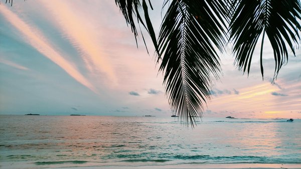 Les meilleures compagnies de croisière pour une cabine balcon